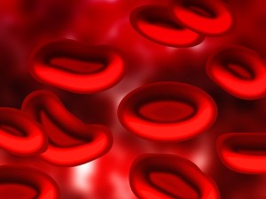 Eisenmangel - rote Blutkörperchen